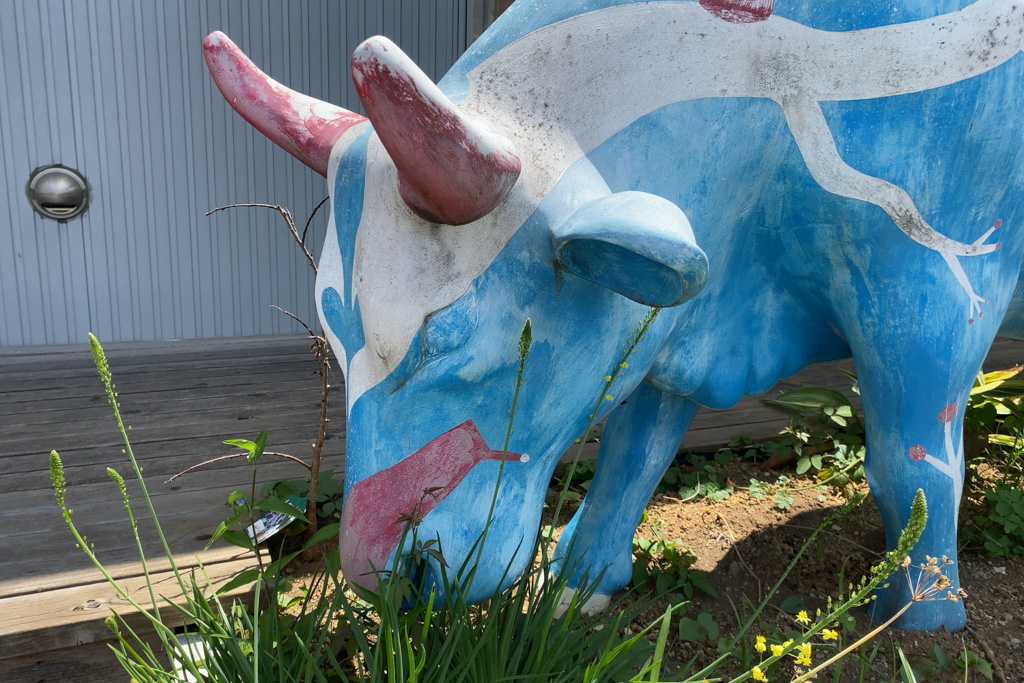 ここがド派手な牛の総本山！？大橋にあるスズキ販売店ダイチモータース