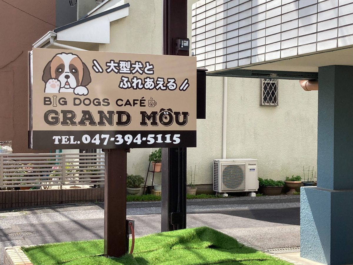 大型犬を触れ合えるカフェ Big Dogs Cafe Grand Mou グランムー が松飛台に4月からオープン 前払い予約制 松戸つうしん 松戸市の地域ブログ 地元情報をあなたにガッツリと